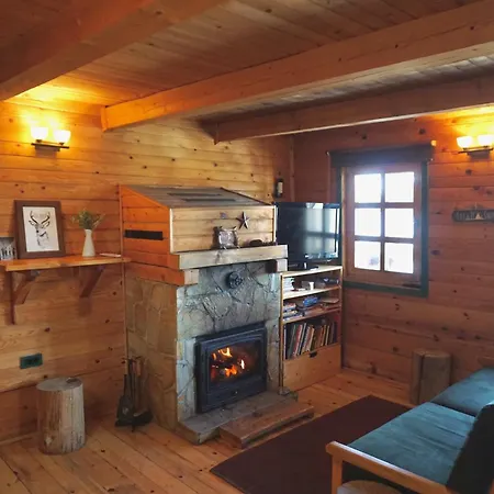 Cozy Montana Dağ evi