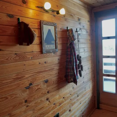Cozy Montana Dağ evi Kopaonik