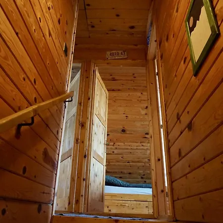 Dağ evi Cozy Montana *